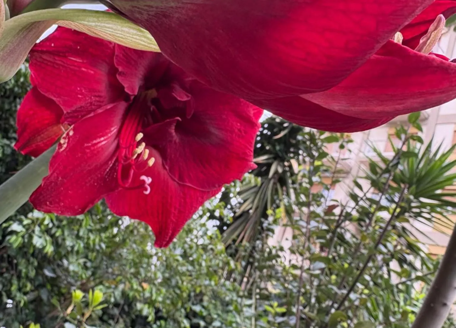 Penelope B&B Palermo 0*,  Italy