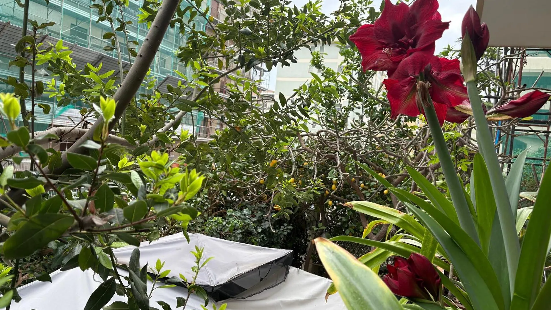 Penelope B&B Palermo Italien