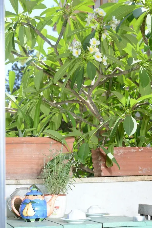 Homestay Penelope B&B Palermo